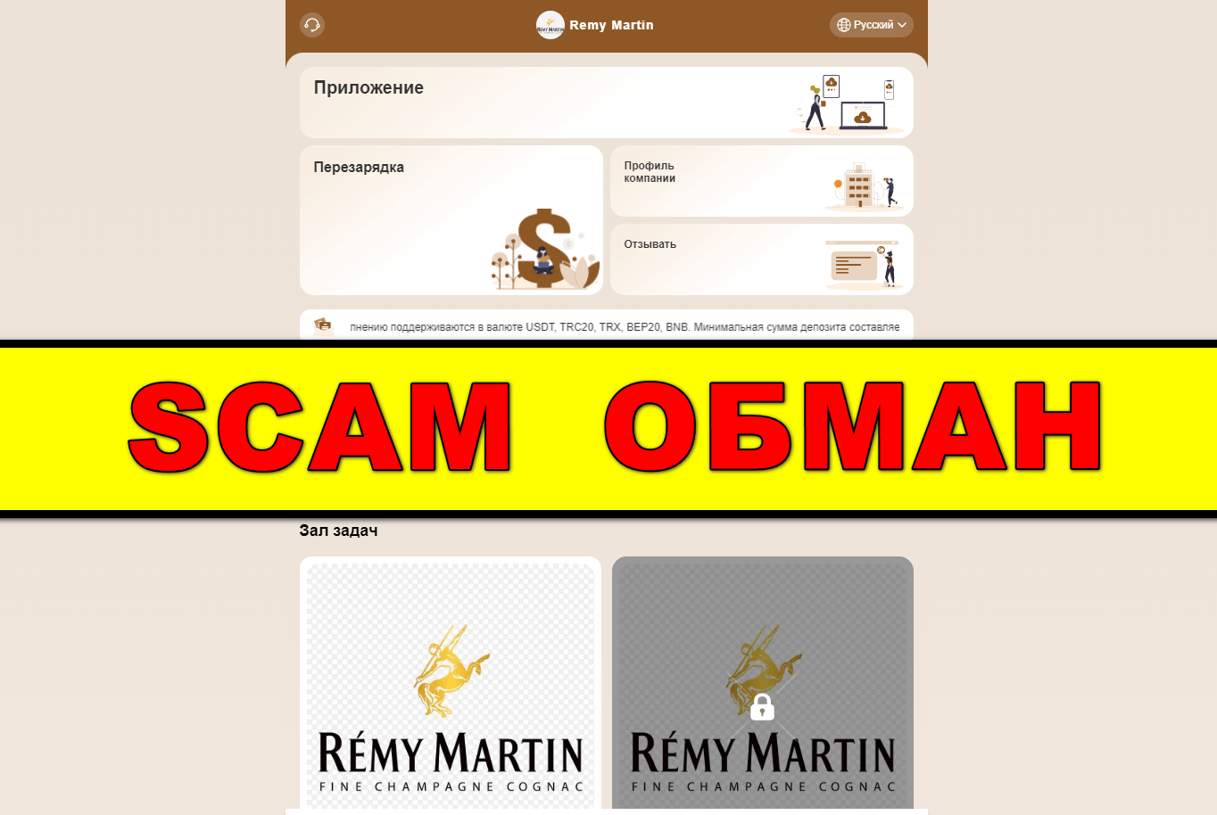 vip-remymartin.com