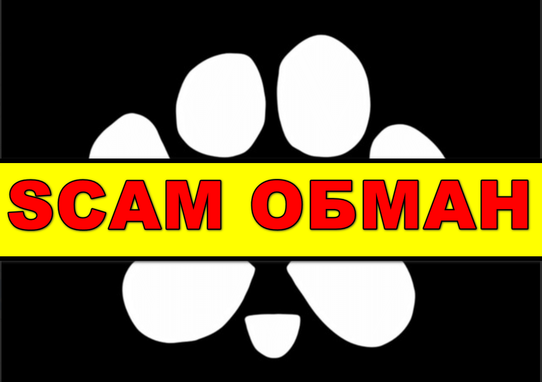 PAWS ОТЗЫВЫ ОСТОРОЖНО SCAM